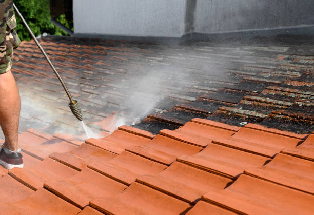 Deck Cleaning Services in Rancho Viejo, TX