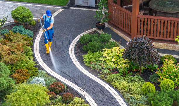 Best Pressure Washing Near Me  in Rancho Viejo, TX