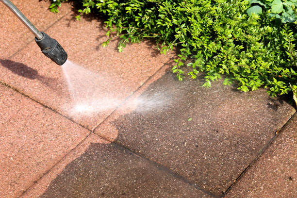 Best Affordable Pressure Washing  in Rancho Viejo, TX